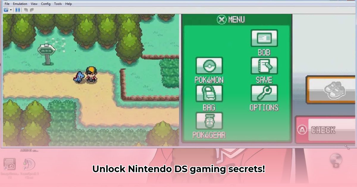 what-games-can-desmume-play